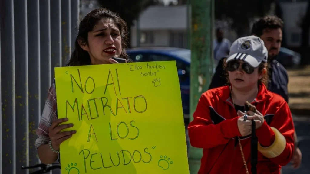 Refugio Franciscano supervisa estado de animales trasladados, visita albergues