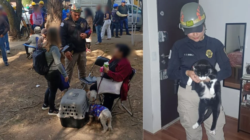 Tras explosión en Paseo de Taxqueña, personal de la BVA brindó atención médica veterinaria a 15 mascotas que habitaban viviendas afectadas.