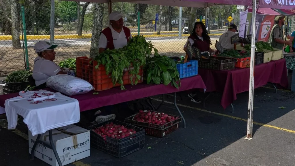 Reciclar tiene recompensa: el Mercado de Trueque 2026 recorrerá parques y alcaldías de la Ciudad de México durante todo el año.