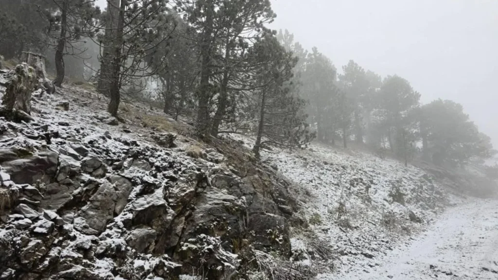 Las lluvias intensas asociadas al Frente Frío 27 impactarán estados del sureste del país, de acuerdo con el Servicio Meteorológico Nacional.