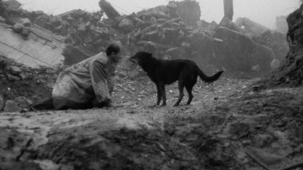 Béla Tarr, referente del cine de autor y una de las miradas más radicales del séptimo arte, dejó un legado que marcó la historia del cine contemporáneo.