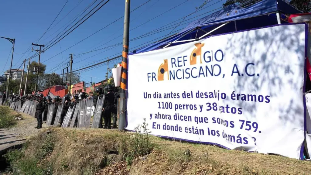 Las reformas para la regulación de albergues en la Ciudad de México, como el Refugio Franciscano, se construirán en consenso con animalistas, dijeron las autoridades de la CDMX.