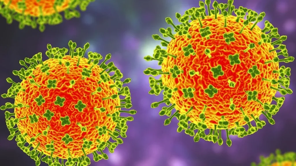 Virus Nipah: Cuáles son los síntomas de esta enfermedad reportada en India