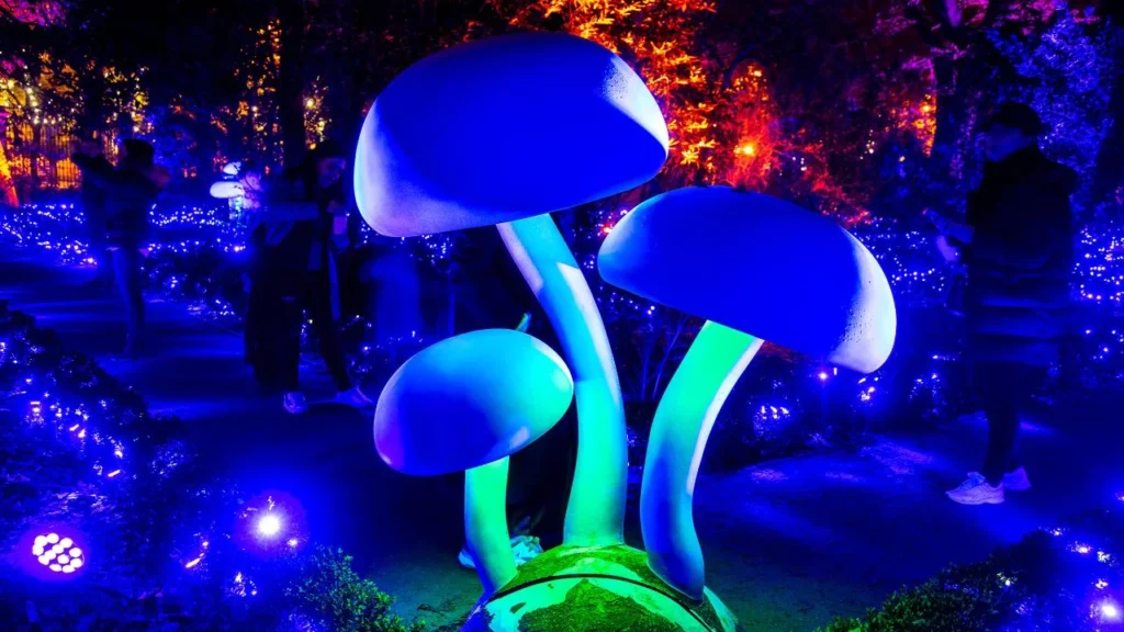 El universo de Alicia en el País de las Maravillas promete un recorrido nocturno lleno de luz, música y personajes icónicos en Parque Lira.