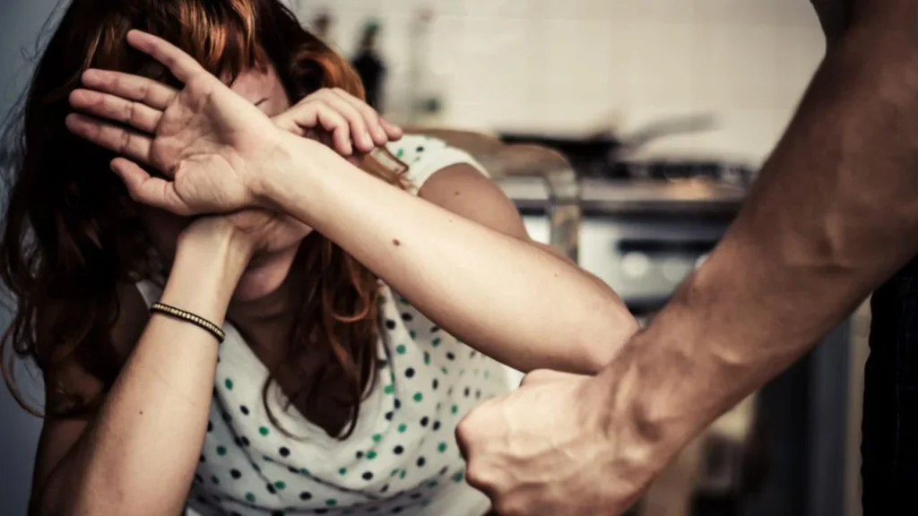 Urge relatora de ONU sobre violencia contra las mujeres destinar recursos para proteger a víctimas