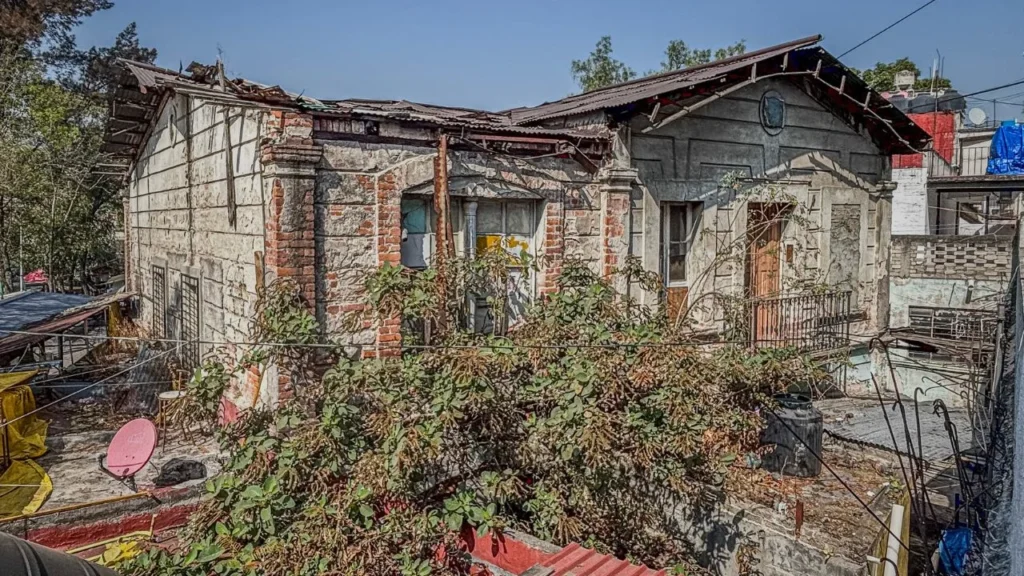 La directora de la Fundación Perra Brava, reportó que un grupo de choque cercó el albergue y su casa para decirle que ya desaloje.