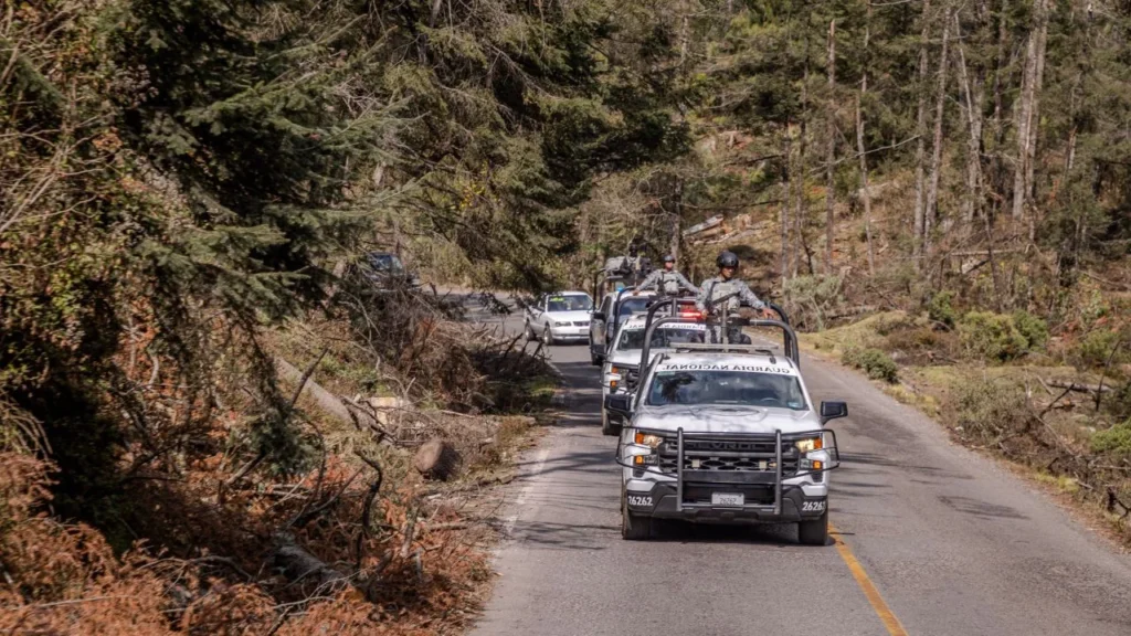 Acciones. La Guardia Nacional mantiene un despliegue permanente para frenar la tala clandestina a través de patrullajes, recorrido de vigilancia y campañas de reforestación.