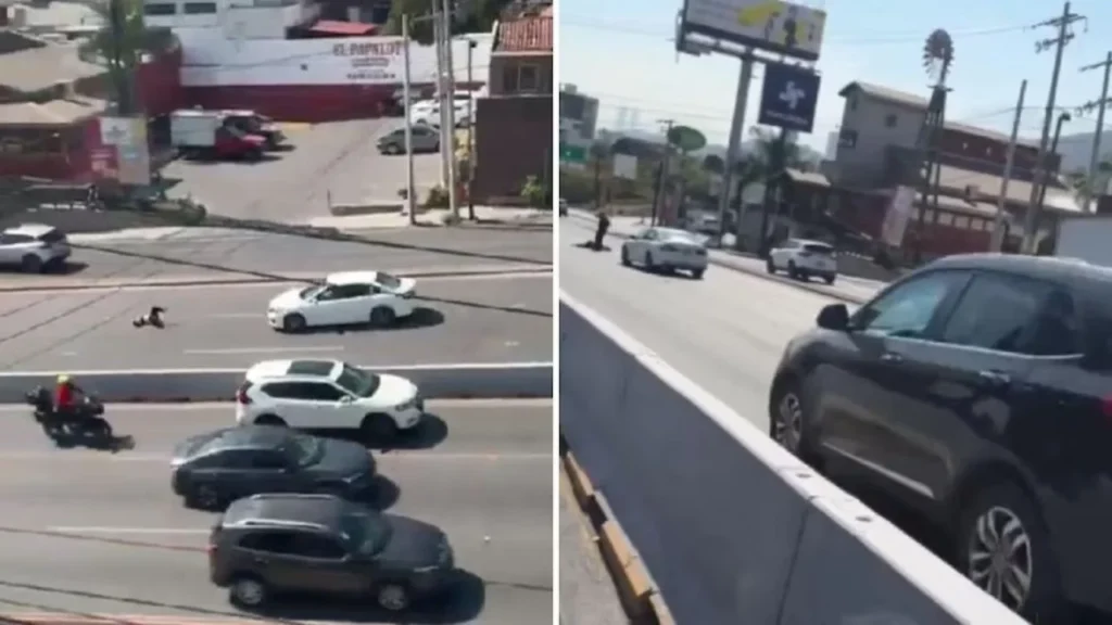 Una mujer resultó atropellada en Paseo de los Leones, Monterrey, al tratar de cruzar de manera intempestiva la avenida.