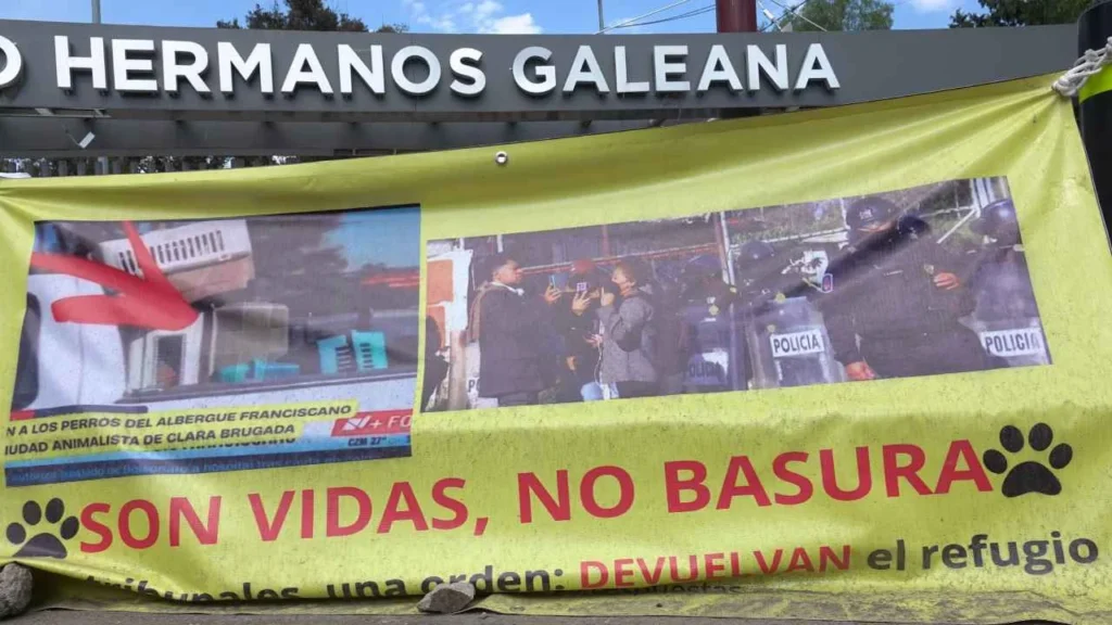 Los vecinos y voluntarios tratan de evitar que retiren a los animalitos del Deportivo Galeana.
