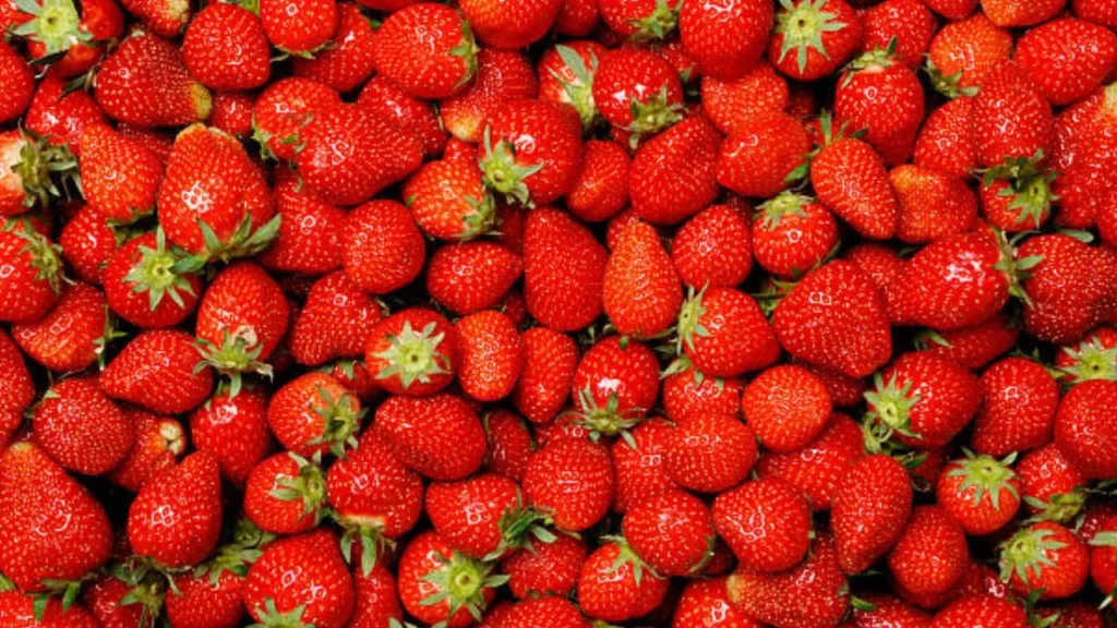 Las fresas destacan por su alto contenido de vitamina C y antioxidantes, de acuerdo con la Procuraduría Federal del Consumidor.