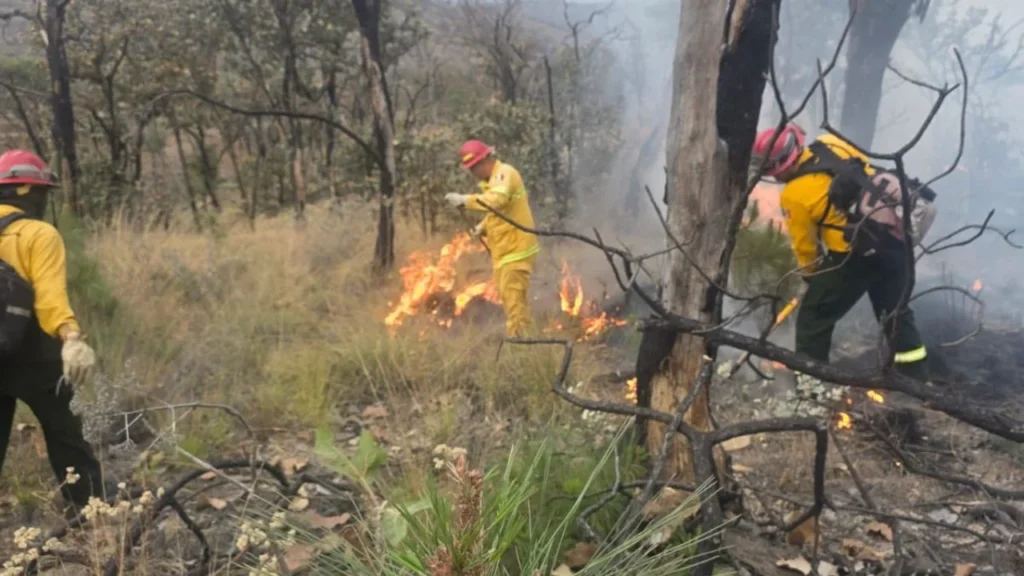 Mantienen alerta atmosférica por incendio en el bosque La Primavera