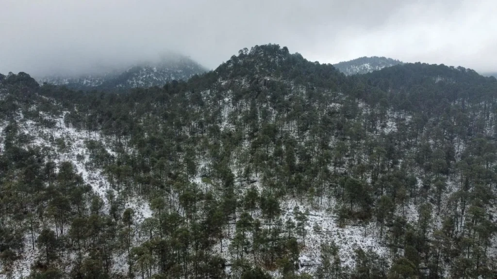 El acceso al Pico del Águila y la Cruz del Marqués permanecerá cerrado temporalmente para garantizar la seguridad