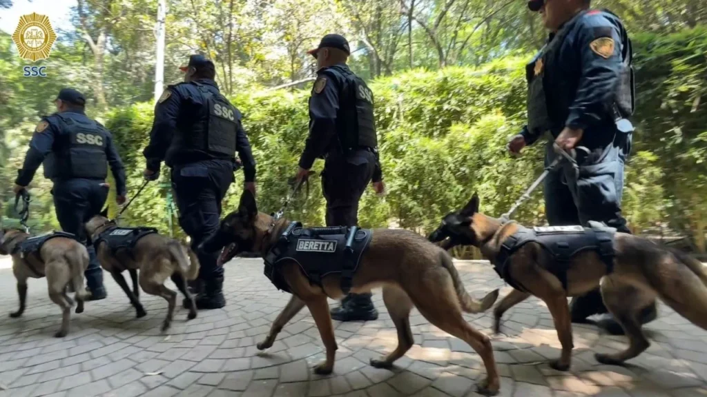 La Policía Bancaria e Industrial dio la bienvenida a cuatro nuevos binomios caninos para sumarse a labores de seguridad del Mundial 2026.