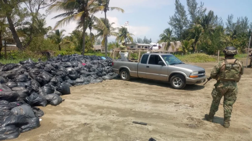 La Marina determinó que el material hallado en playas de Veracruz, correspondía a sargazo y no a hidrocarburos o chapopote.
