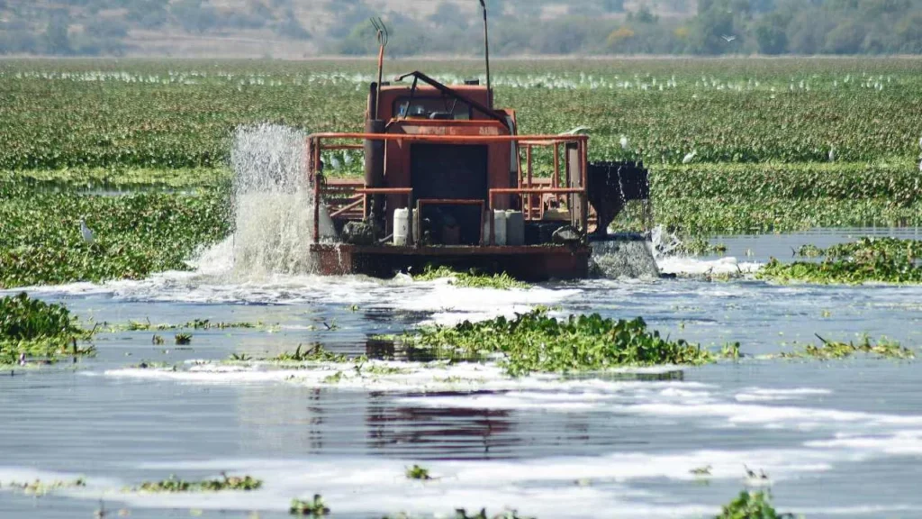Conagua realiza recuperación de la Presa Endhó.