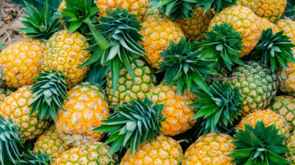 Además de ser una fruta refrescante y versátil, la piña aporta vitamina C, fibra y antioxidantes que fortalecen el sistema inmunológico, favorecen la digestión y ayudan a combatir la inflamación
