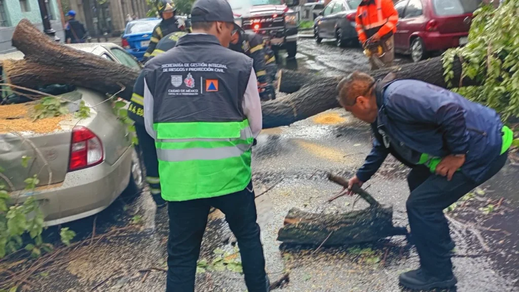 La lluvia y fuertes vientos provocaron la caída de un árbol de 15 metros sobre la lateral de Paseo de la Reforma, sin reporte de lesionados.