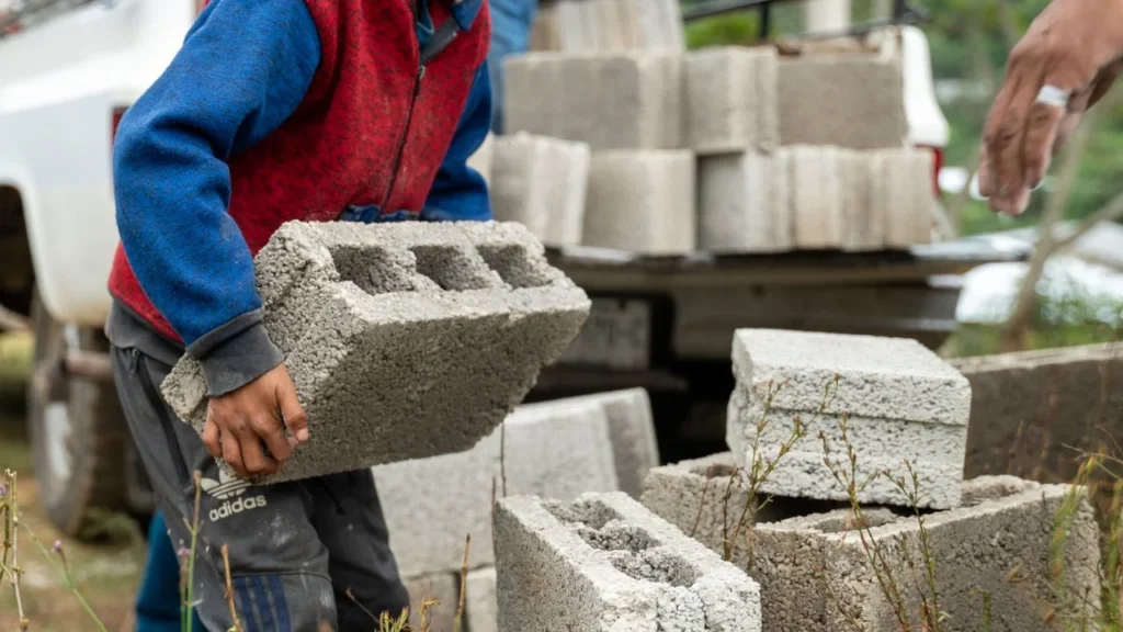Explotación infantil: El sector agrícola concentra el mayor número de niños trabajadores, enfrentando lesiones, insolación y más.