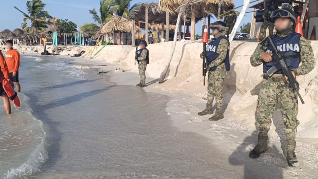La Secretaría de Marina informó que personal de la Armada de México brindó seguridad a aproximadamente a 200 crías de tortugas marinas.