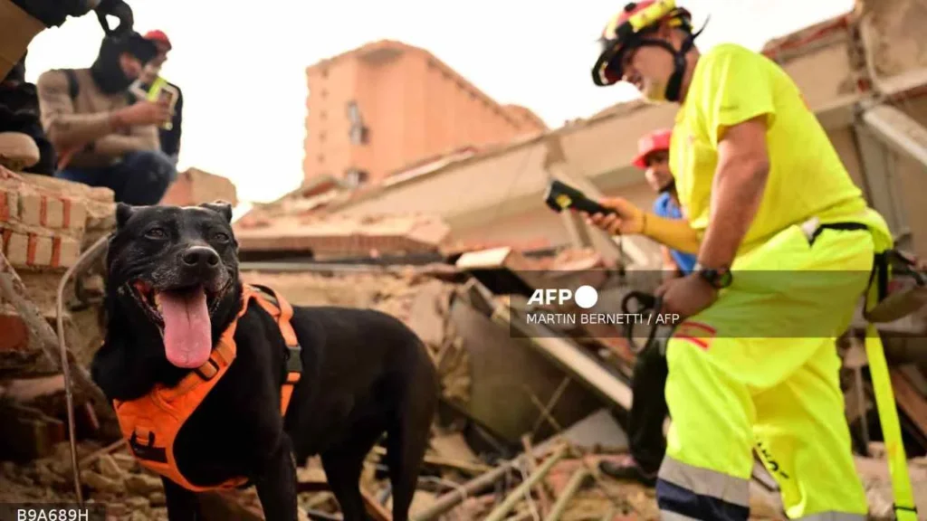 Los rescatistas extranjeros poco a poco se van de Venezuela tras varios días después de los terremotos.