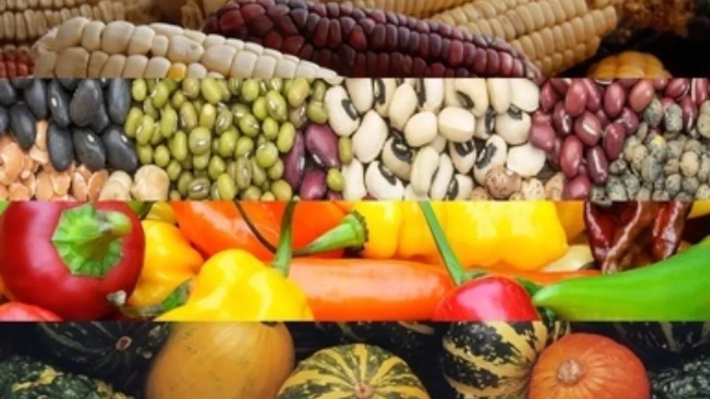 Conoce cuáles son los beneficios de la Dieta de la Milpa y qué alimentos de ella puedes incluir en tu día a día para mejorar tu salud.