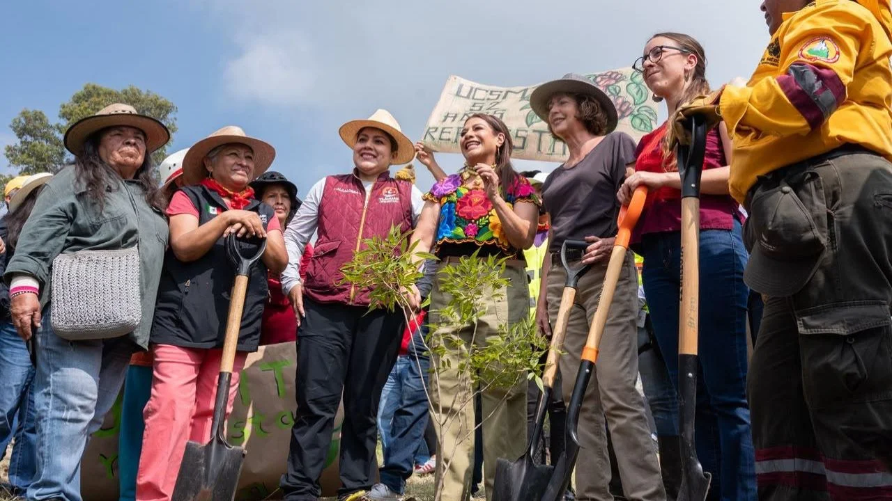 La Ciudad de México se sumó a la Jornada Nacional de Reforestación con la plantación de 35 mil árboles en distintos puntos de la capital.