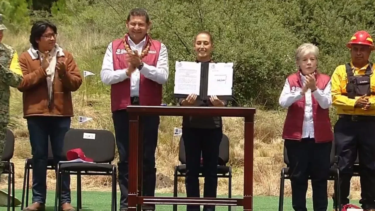 El DOF publicó este 9 de agosto el decreto que establece el segundo domingo de agosto como Día Nacional de la Reforestación.