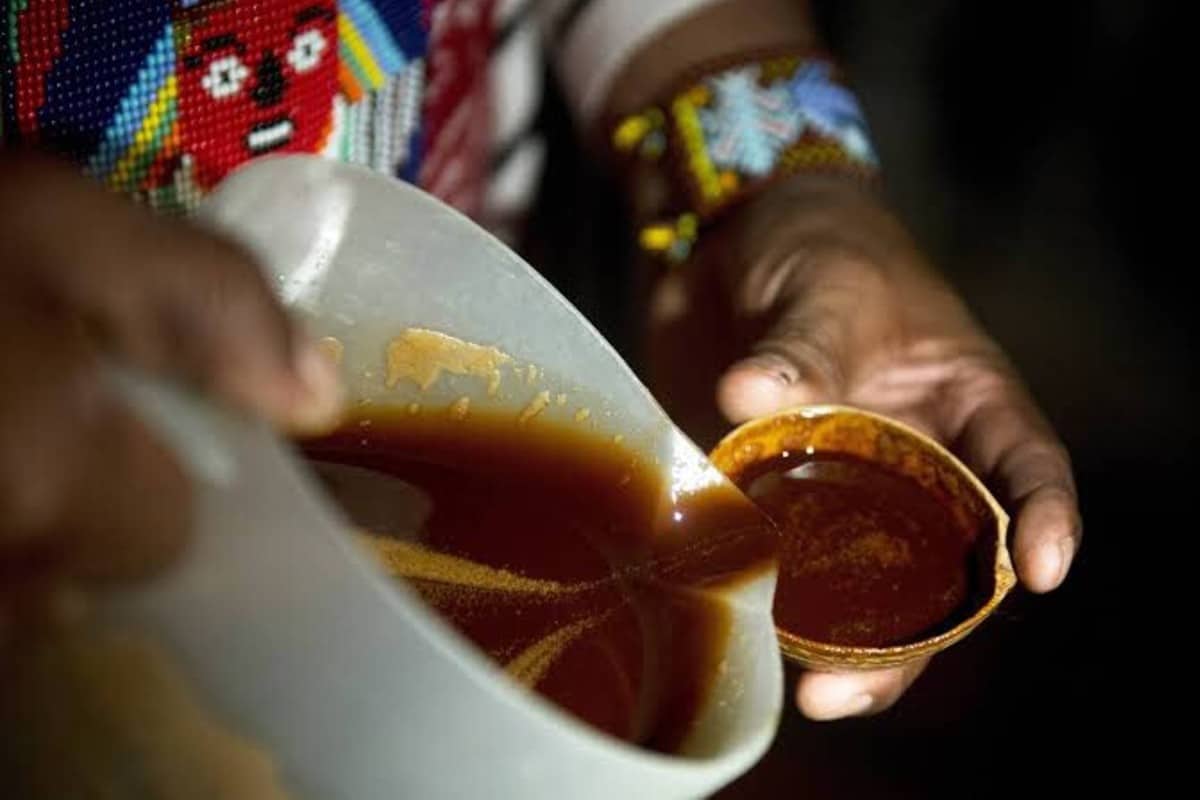 Ayahuasca