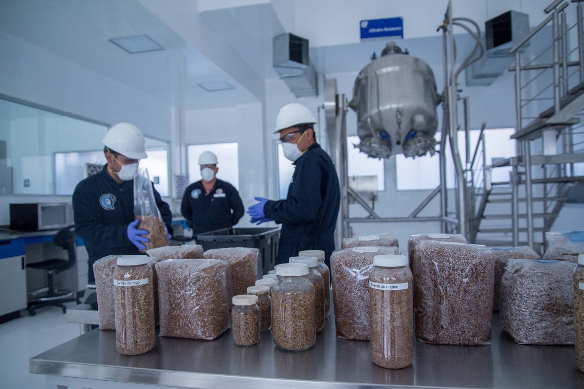 “No podemos adicional a la pandemia, a los problemas de salud y económicos, agregar el de la falta de alimentos en el país, ese es compromiso de todos: productores, trabajadores e investigadores”, destacó
