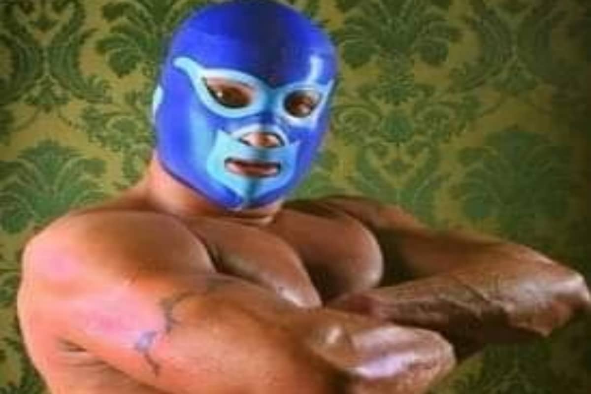 Aníbal Jr