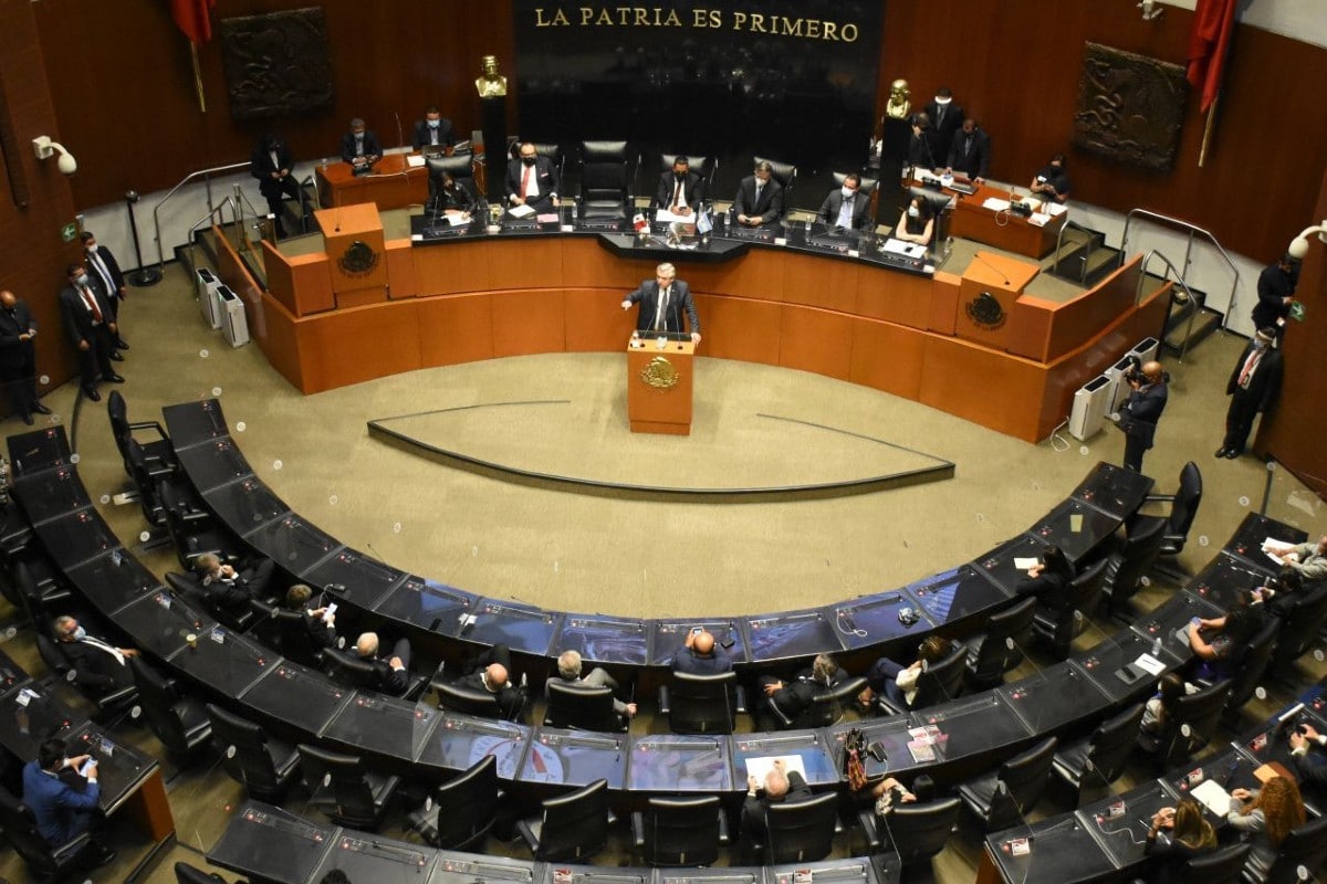 Especialistas consideran anticonstitucional el proyecto.