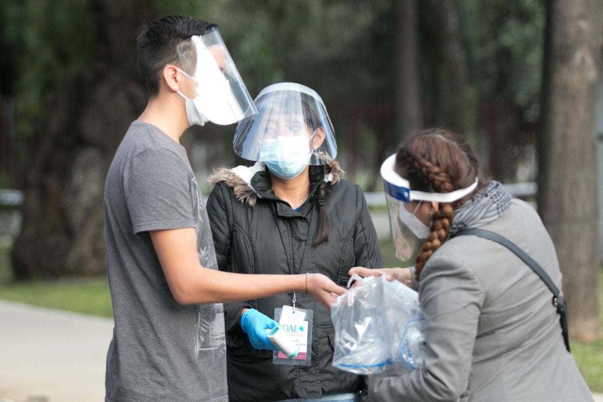 pandemia estudios