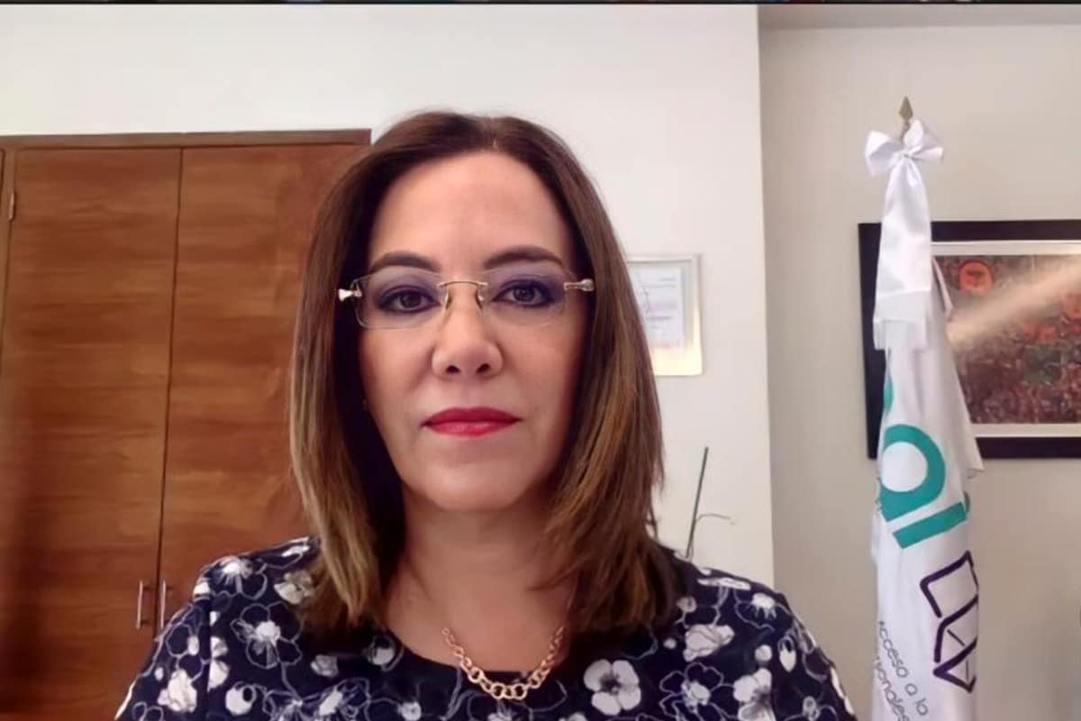 Blanca Ibarra Cadena, presidenta del INAI indicó que el padrón viola varios derechos humanos.