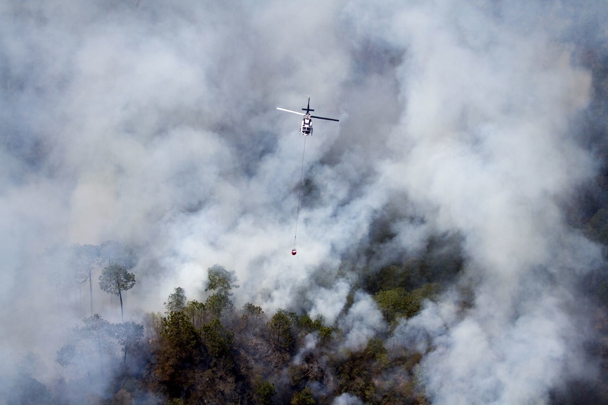 Los incendios han afectado varios puntos de la entidad durante 15 días.