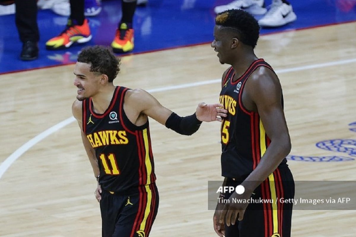 Hawks