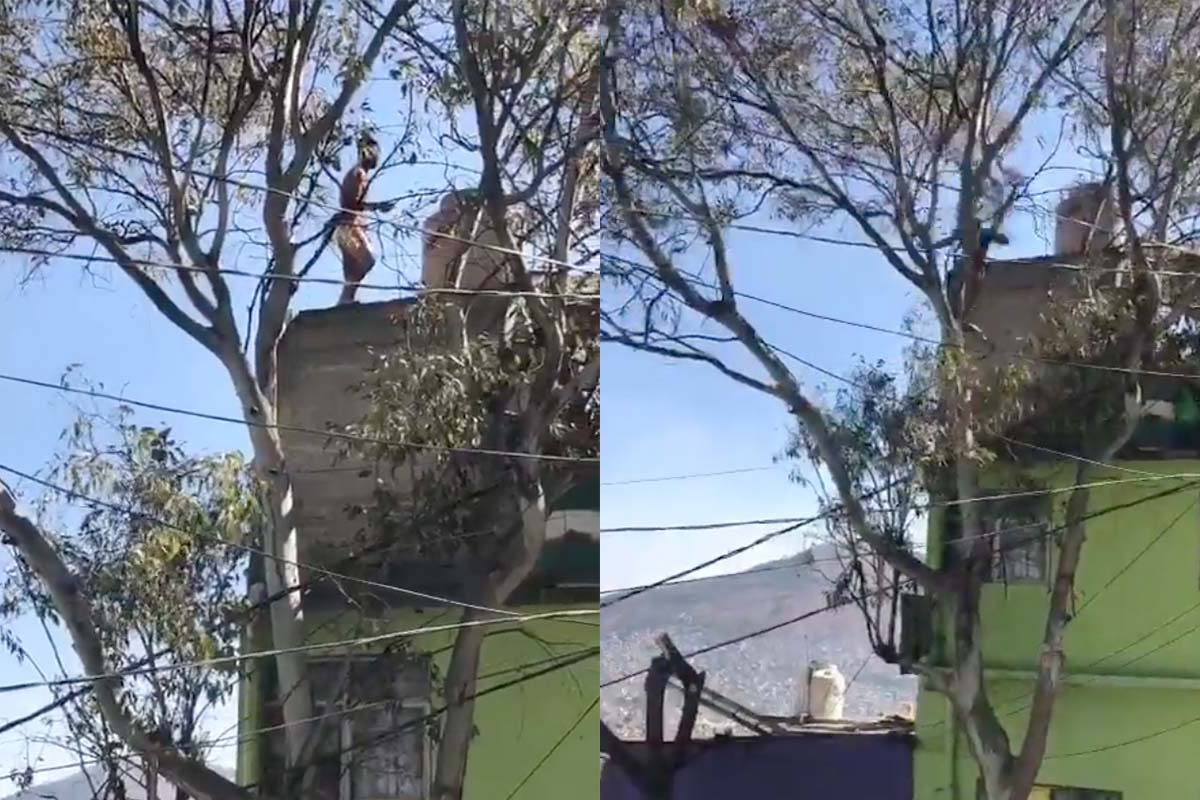 Presunto delincuente pierde la vida al caer de azotea 