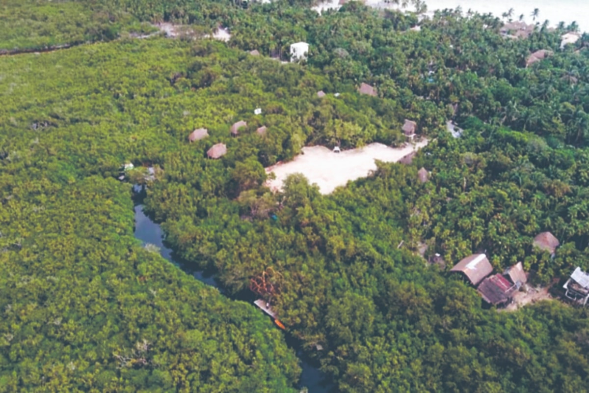La CNDH pidió a Marina, Semarnat y Profepa reparar el daño a una zona natural protegida.