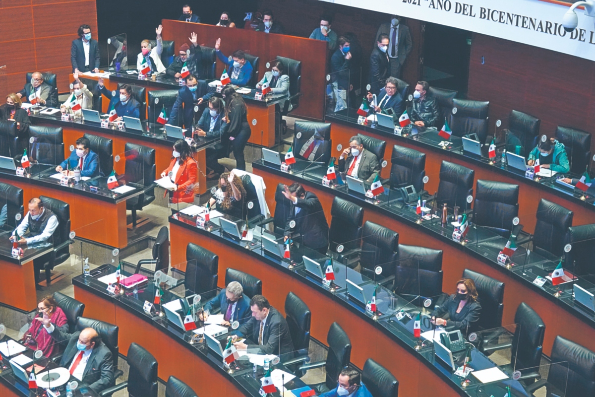 senado