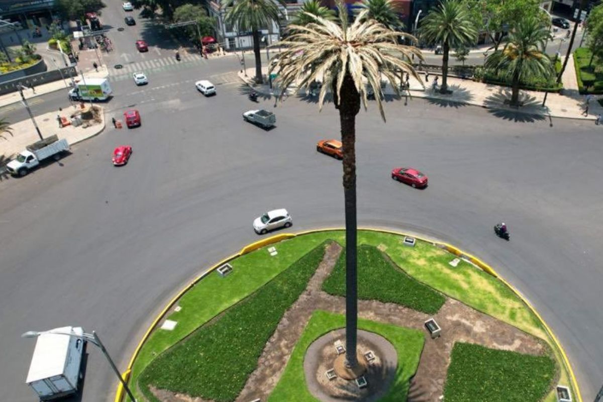 Foto:Twitter/@Claudia Sheinbaum|“Palmas a la palma”: así es la despedida de la glorieta en Reforma