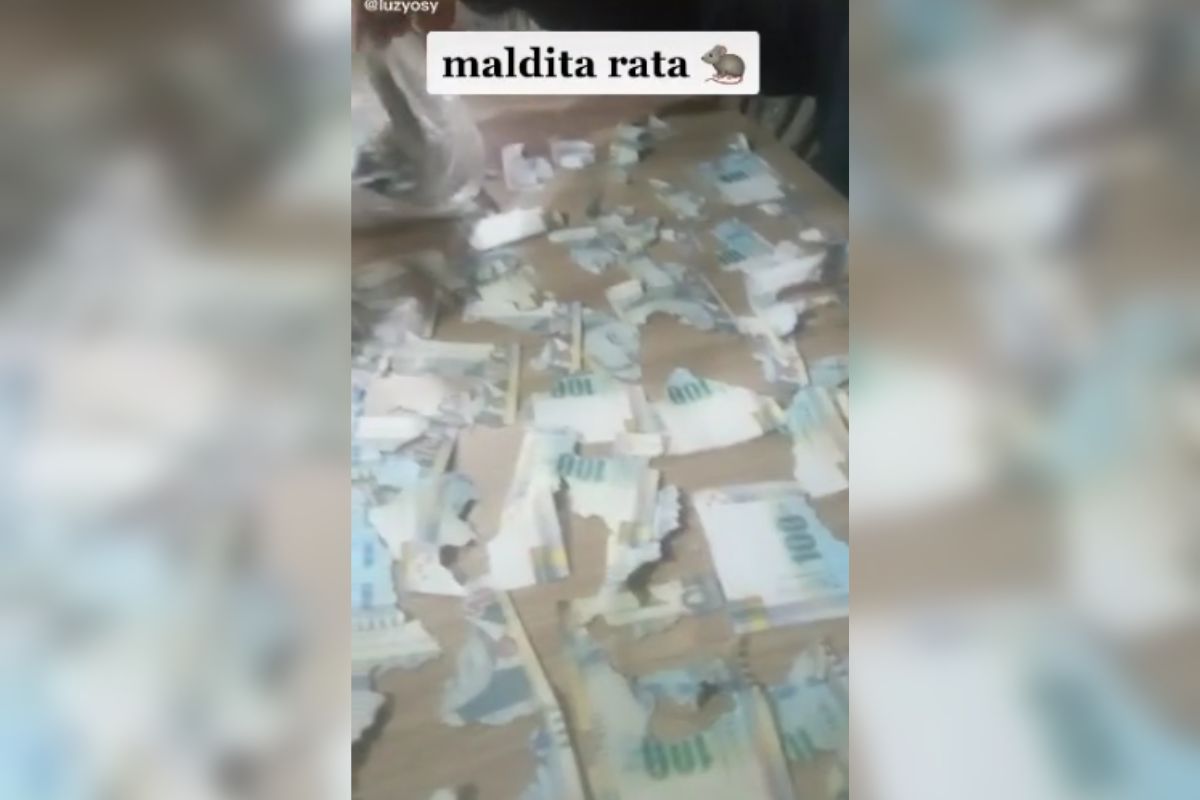 Rata