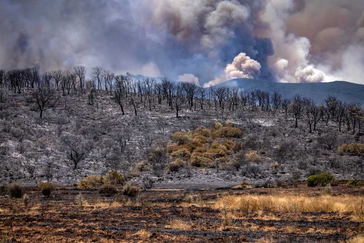 incendios forestales