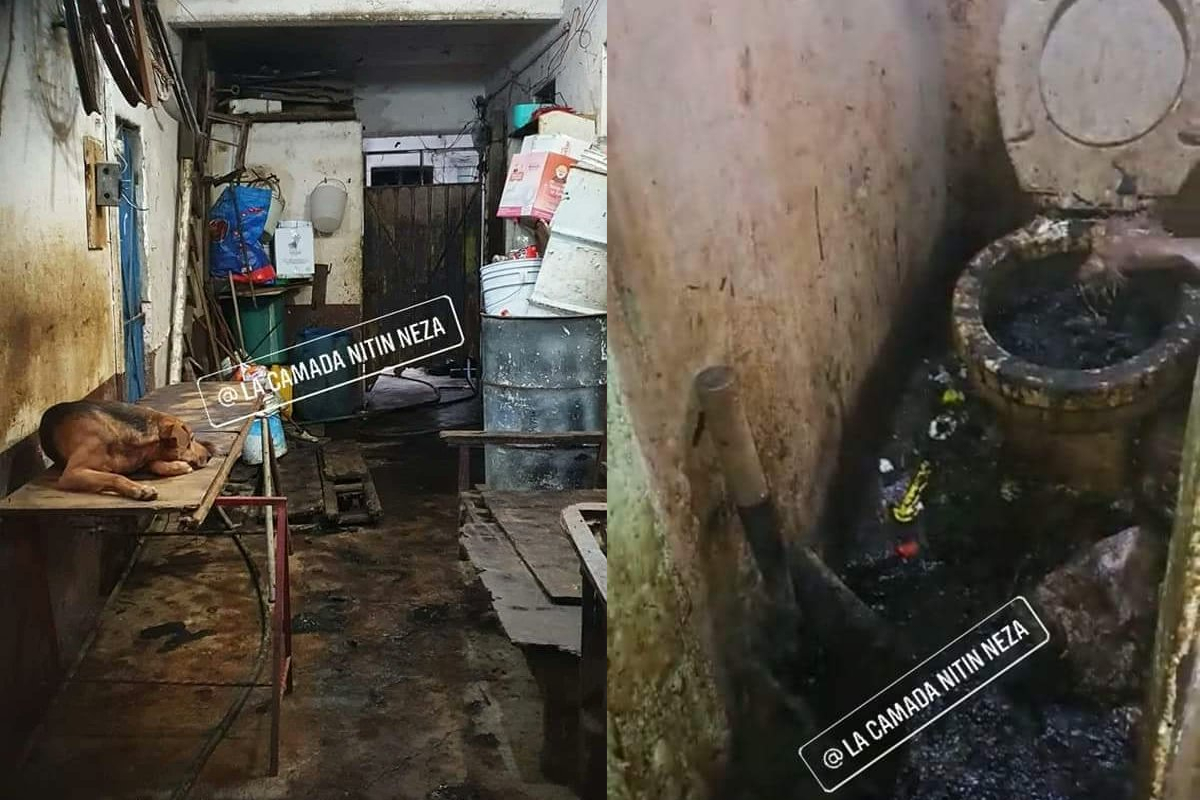 Denuncian rastro clandestino de perros en Nezahualcóyotl.