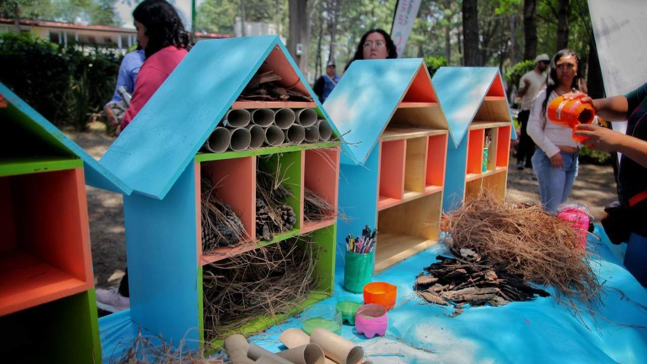 hotel para insectos