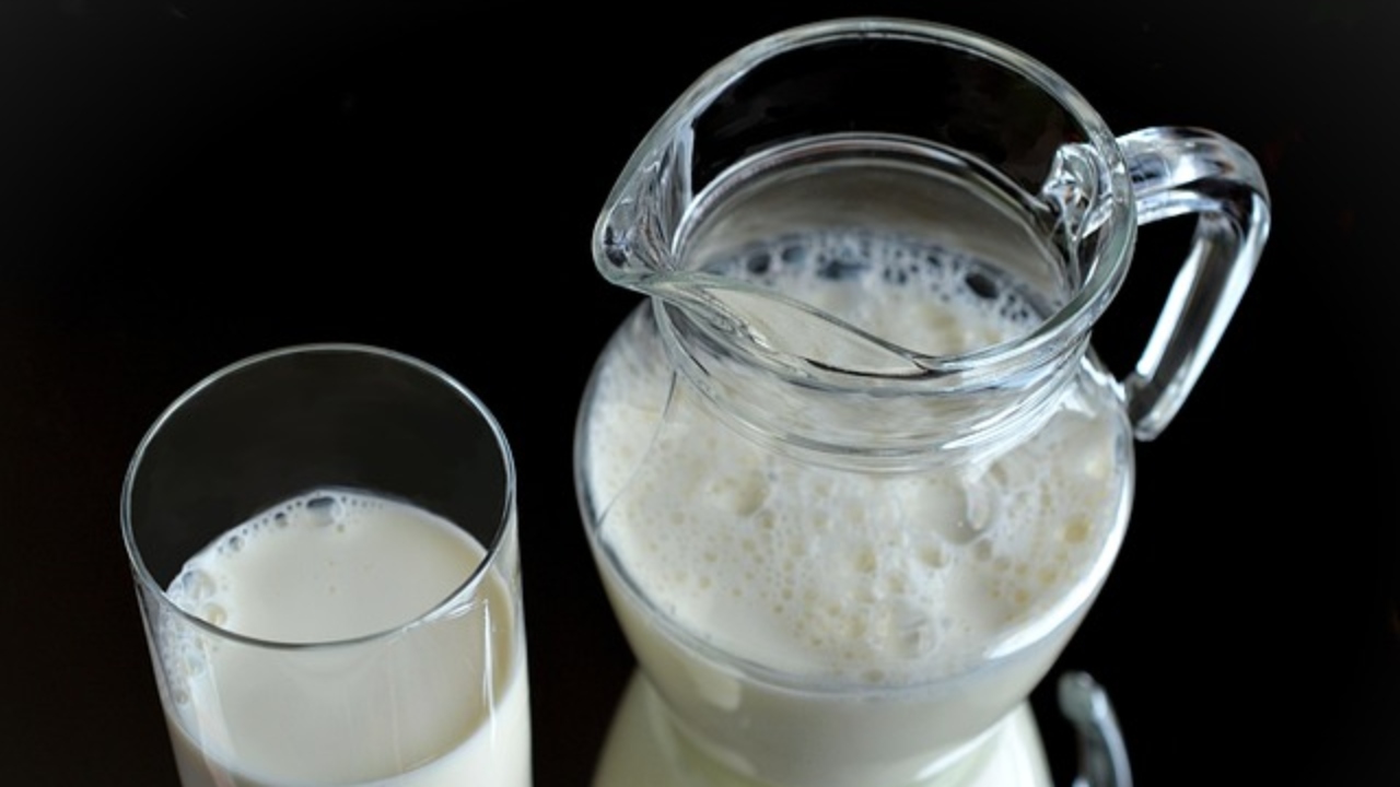 leche segalmex