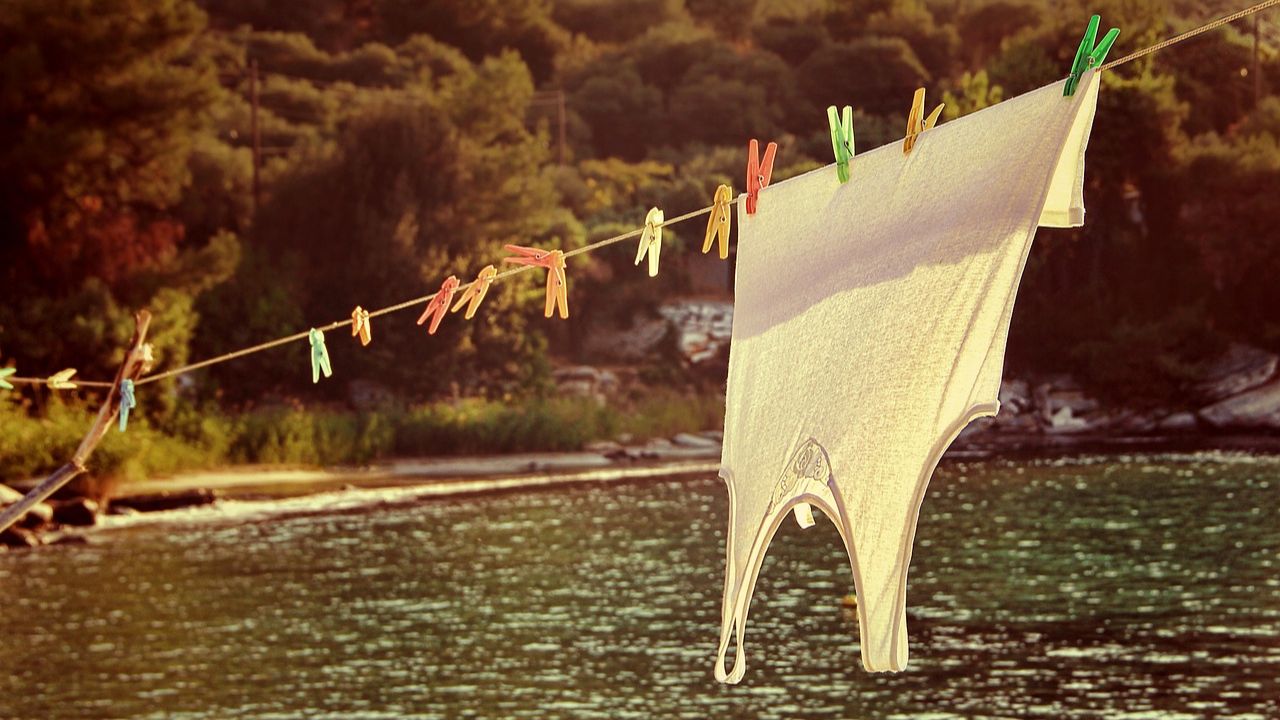 Foto:Pixabay|Detienen a sujeto por robar la ropa interior de los tendederos de sus vecinas