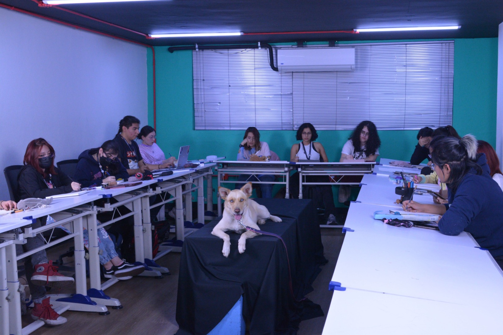 Taller infantil de dibujo canino.