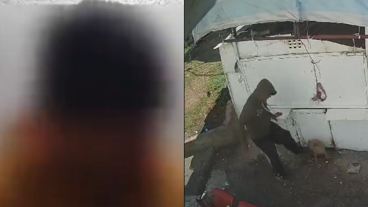 Procesan a Jorge "N", trabajador de limpia de Naucalpan, por presunto maltrato animal