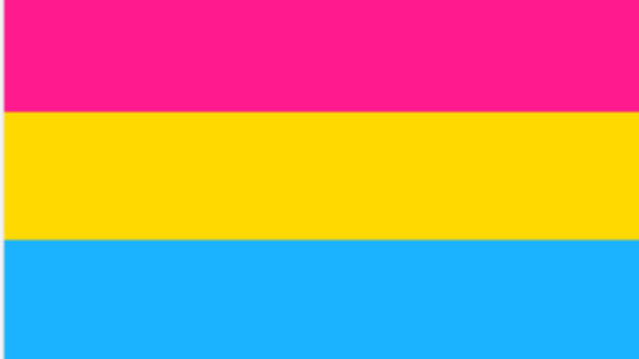 Foto:Pixabay|¿Sabes que es ser Pansexual?