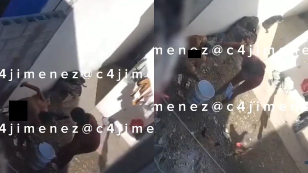 Captan presunto maltrato de una mujer a un hombre; lo tenía en patio trasero entre gallinas y perros