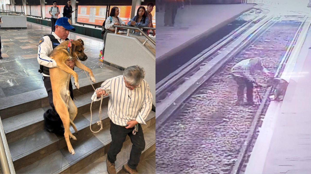 Rescatan a perrito en Línea 4